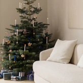Weihnachtsbäume