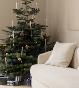 Weihnachtsbäume